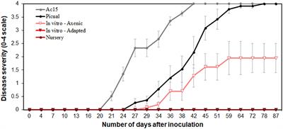 Verticillium dahliae Inoculation and in vitro Propagation Modify the Xylem Microbiome and Disease Reaction to Verticillium Wilt in a Wild Olive Genotype